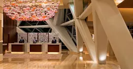 Hyatt Capital Gate Hotel | Abu Dabi