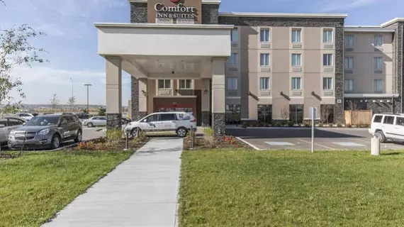 Comfort Inn & Suites | Alberta - Calgary (ve civarı) - Calgary