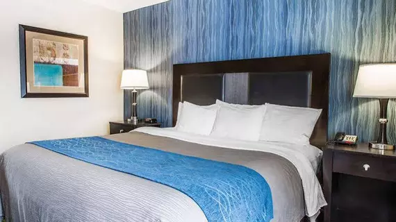 Comfort Inn & Suites Meriden | Connecticut - Hartford (ve civarı) - Meriden