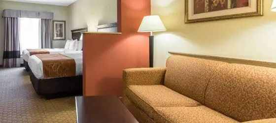 Comfort Suites Cullman | Alabama - Cullman (ve civarı) - Cullman