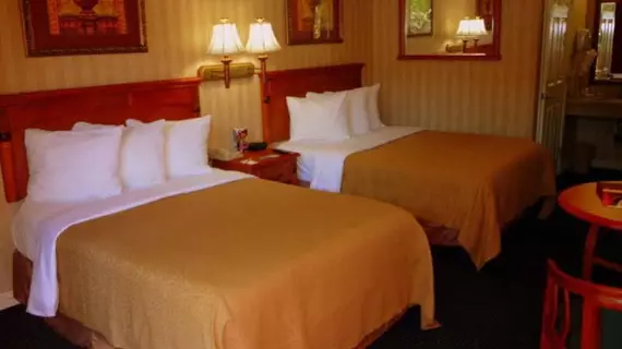 Hilton Garden Inn Anaheim Resort | Kaliforniya - Orange County - Anaheim - Anaheim Resort