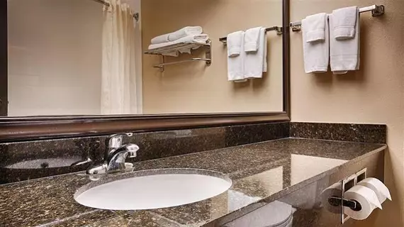 Best Western Plus Mishawaka Inn | Indiana - South Bend (ve civarı) - Mishawaka