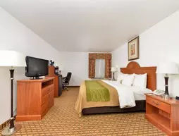 Comfort Inn Willow Springs | Missouri - West Plains (ve civarı) - Willow Springs