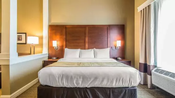 Comfort Suites Dodge City | Kansas - Dodge City (ve civarı) - Dodge City