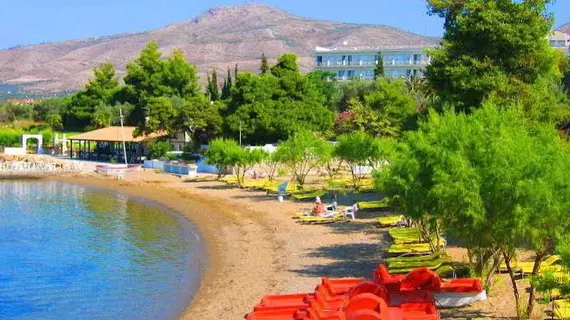 Eretria Hotel & Spa Resort | Orta Yunanistan - Evia (bölge) - Eretria