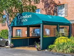 Comfort Inn South Portland | Maine - Portland (ve civarı) - South Portland