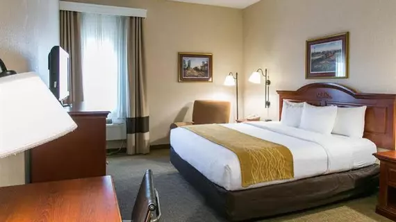 Comfort Inn Warrensburg Station | Missouri - Clinton - Warrensburg