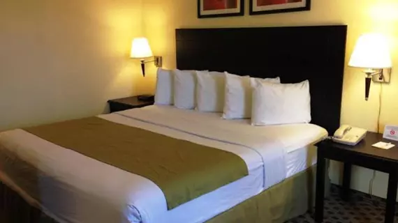 Days Inn Irving Dallas/Ft. Worth Airport North | Teksas - Dallas (ve civarı) - Irving - Las Colinas