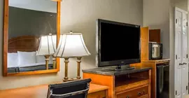 Comfort Inn Sun City Center | Florida - Tampa (ve civarı) - Sun City Center