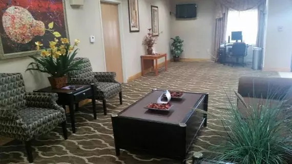 Comfort Inn Kalamazoo | Michigan - Kalamazoo (ve civarı) - Kalamazoo