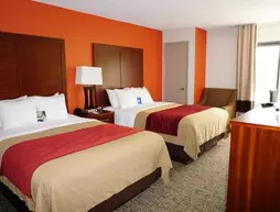 Comfort Inn Greensboro | Kuzey Karolayna - Greensboro (ve civarı) - Greensboro