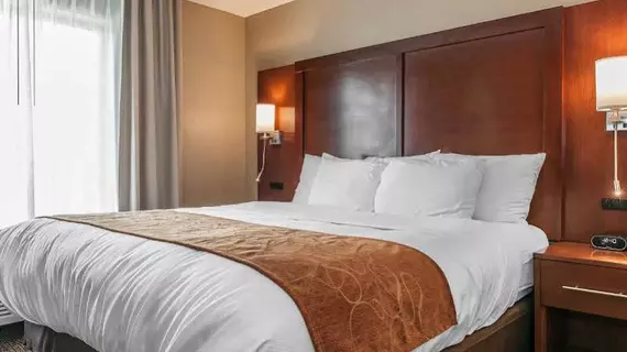 COMFORT SUITES RENSSELAER | Indiana - Rensselaer