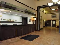 Comfort Suites O'Hare Airport | İllinois - Chicago (ve civarı) - Schiller Park