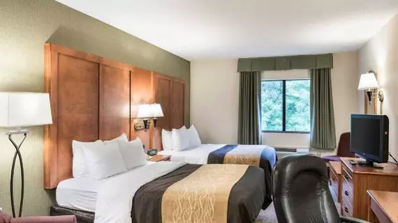 Comfort Inn & Suites Lavale | Maryland - Cumberland (ve civarı) - LaVale