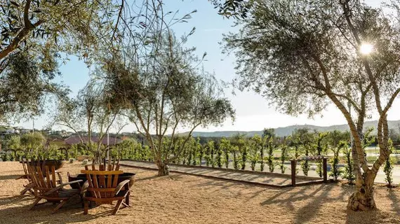 Allegretto Vineyard Resort Paso Robles | Kaliforniya - San Luis Obispo (ve civarı) - Paso Robles