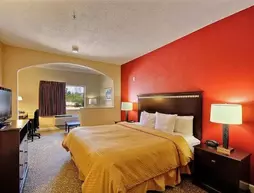 Comfort Suites Near the Woodlands | Teksas - Conroe (ve civarı) - Shenandoah