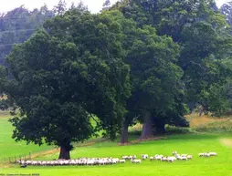 Tulloch Castle Hotel | İskoçya - Scottish Highlands - Dingwall