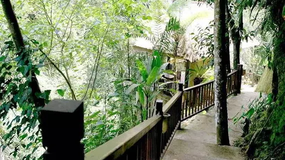 Natura Resort & Spa | Bali - Ubud - Petulu