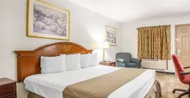 Econo Lodge Inn & Suites Fort Rucker | Alabama - Enterprise (ve civarı) - Daleville