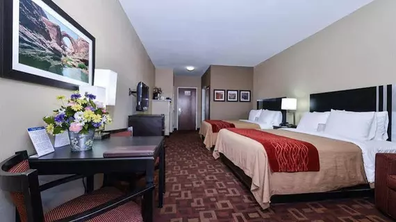 Comfort Inn & Suites Page | Arizona - Page