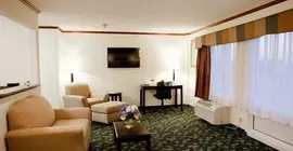 BEST WESTERN PLUS Park Avenue Hotel | Maryland - Leonardtown