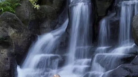 Arenal Kioro | Alajuela (ili) - San Carlos (kantonu) - La Fortuna