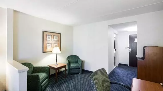 Comfort Inn & Suites San Antonio Airport | Teksas - San Antonio (ve civarı) - San Antonio - Kuzey San Antonio - SAT Havalimanı