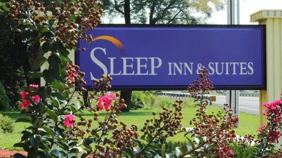 Sleep Inn & Suites Gettysburg | Pensilvanya - Gettysburg (ve civarı) - Gettysburg