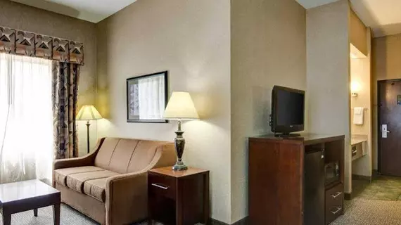 Comfort Inn & Suites Conway | Arkansas - Conway