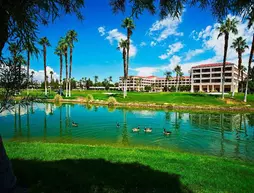 DOUBLETREE BY HILTON GOLF RESORT PALM SPRINGS | Kaliforniya - Imperial County - Palm Springs (ve civarı) - Cathedral City