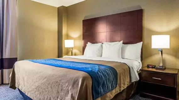 Comfort Inn Atlanta Downtown South | Georgia - Atlanta (ve civarı) - Atlanta