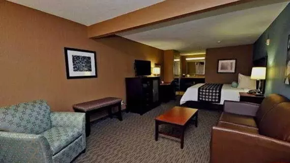 Best Western Huntsville | Teksas - Conroe (ve civarı) - Huntsville