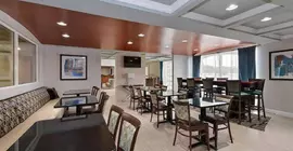 Comfort Inn & Suites Springfield | İllinois - Springfield (ve civarı) - Springfield