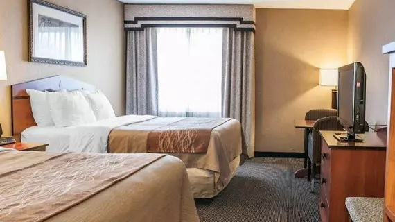 Comfort Inn Edinburgh | Indiana - Columbus (ve civarı) - Edinburgh