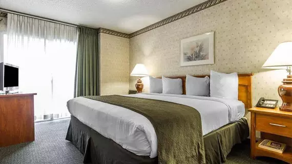 QUALITY INN & SUITES SILICON VALLEY | Kaliforniya - Santa Clara