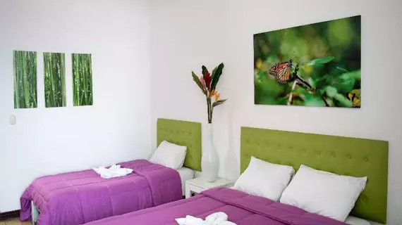 Cocoon San Jose | Alajuela (ili) - San Jose (ve civarı) - San Jose