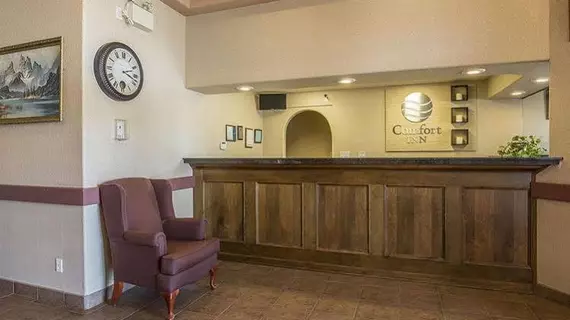 Comfort Inn Lethbridge | Alberta - Lethbridge (ve civarı) - Lethbridge