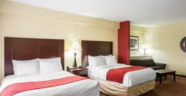 Comfort Suites Mount Juliet | Tennessee - Nashville-Davidson - Nashville (ve civarı) - Mount Juliet