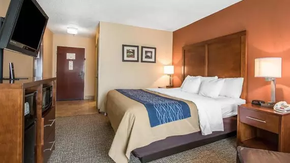 Comfort Inn Livingston | Alabama - Demopolis (ve civarı) - Livingston