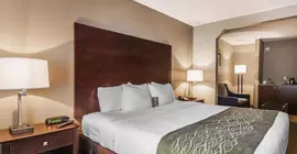 Comfort Inn Demopolis | Alabama - Demopolis (ve civarı) - Demopolis