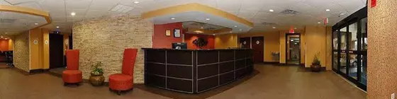 Comfort Inn and Suites | Güney Karolayna - Greenville - Spartanburg (ve civarı) - Greenville