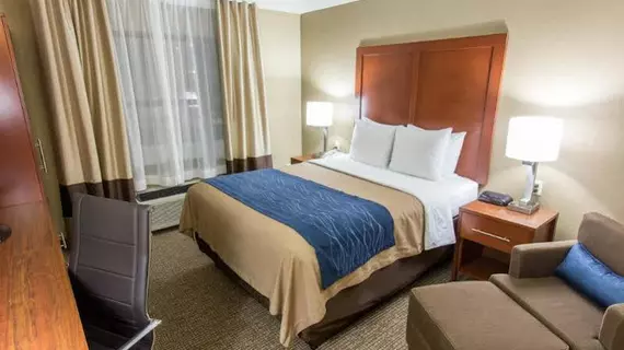 Comfort Inn and Suites | Missouri - Springfield (ve civarı) - Springfield