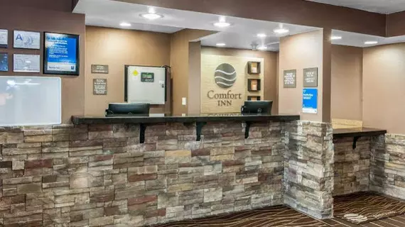 Comfort Inn Fort Wayne | Indiana - Fort Wayne (ve civarı) - Fort Wayne