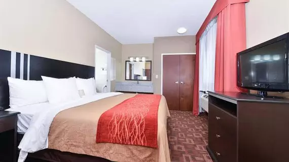 Comfort Inn & Suites Page | Arizona - Page