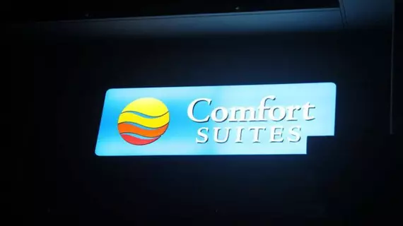 Comfort Suites Pau Idron | Nouvelle-Aquitaine - Pyrenees-Atlantiques - Idron