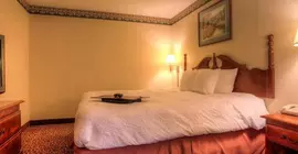 Hampton Inn Chattanooga I24 West Lookout Mountain | Tennessee - Chattanooga (ve civarı) - Chattanooga - Tiftonia