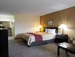 Econo Lodge | Arkansas - Pine Bluff (ve civarı) - Pine Bluff