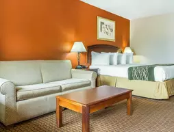 Econo Lodge Auburn | Alabama - Auburn - Opelika (ve civarı) - Auburn