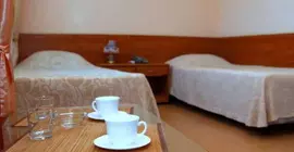 Kolvi Hotel | Tataristan Cumhuriyeti - Kazan (ve civarı) - Kazan - Kizicheskaya - Kazan Kent Merkezi