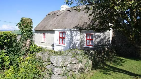 Hill View Farm | Mayo (kontluk) - Cong